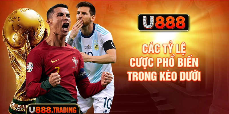 Các tỷ lệ cược phổ biến trong kèo dưới